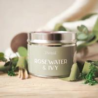 Pintail Candles Rosewater & Ivy Tin Candle Extra Image 1 Preview